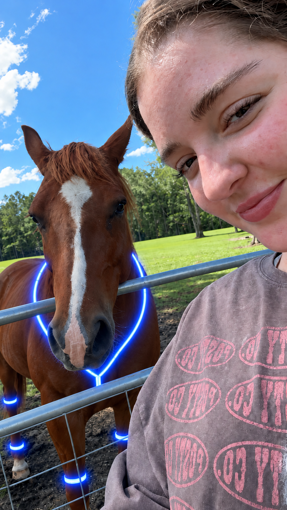 LED Horse Night Riding Lights – Full-Body Glow Kit, 12 Light Modes, Boost Visibility for Night Horseback Riding