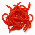 ⏰Buy 3  Get 2 Free 🔥 Simulation Earthworm Soft Fishing Lures Shrimp Scented Artificial Worm Baits for Freshwater and Saltwater Pack of 50 or 100