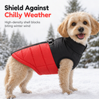 🐶Chilly Weather Coming! Thick Padded Dog Winter Vest, Windproof, Keeps Your Pup Cozy Outdoors