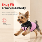 🐶Chilly Weather Coming! Thick Padded Dog Winter Vest, Windproof, Keeps Your Pup Cozy Outdoors